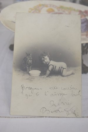 画像2: 1903年　フランスアンティーク　ネコちゃんと赤ちゃんポストカード