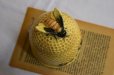 画像4: アンティーク　イギリスのハチミツ色の可愛らしいハニーポット