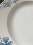 画像11: 仏サルグミンヌ　三つ葉のクローバー 大皿