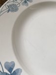画像8: 仏サルグミンヌ　三つ葉のクローバー 大皿