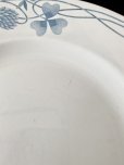 画像7: 仏サルグミンヌ　三つ葉のクローバー 大皿