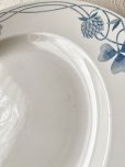 画像15: 仏サルグミンヌ　三つ葉のクローバー 大皿