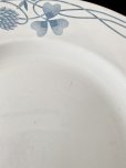 画像10: 仏サルグミンヌ　三つ葉のクローバー 大皿