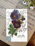 画像1: フランス 小さな花が私に語りかけます 1906年のカード (1)