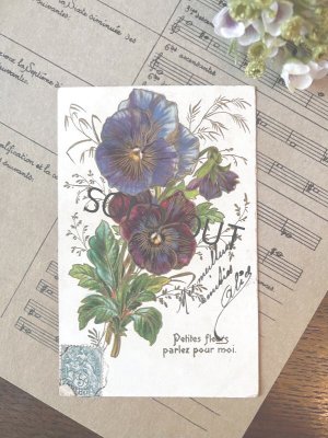 画像1: フランス 小さな花が私に語りかけます 1906年のカード