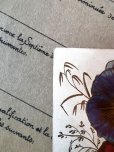 画像6: フランス 小さな花が私に語りかけます 1906年のカード