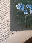 画像7: フランス 勿忘草 美しい緑青の1904年のカード