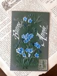 画像2: フランス 勿忘草 美しい緑青の1904年のカード