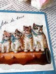 画像3: フランス  ブルーリボンの猫たち 1908年のカード