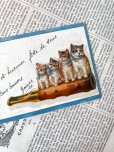 画像8: フランス  ブルーリボンの猫たち 1908年のカード