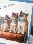 画像10: フランス  ブルーリボンの猫たち 1908年のカード