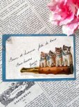 画像1: フランス  ブルーリボンの猫たち 1908年のカード (1)