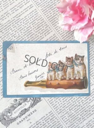 画像1: フランス  ブルーリボンの猫たち 1908年のカード