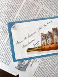 画像9: フランス  ブルーリボンの猫たち 1908年のカード