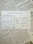 画像8: フランス 1900年初頭のツバメたちのカードII