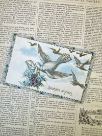 フランス 1900年初頭の白い鳩のカード