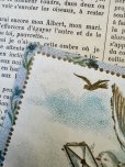 画像6: フランス 1900年初頭の白い鳩のカード