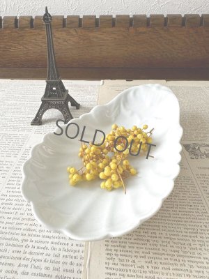 画像1: フランス シェル型のラヴィエ