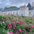画像13: フランス ディゴワン・サルグミンヌ  MALMAISON ・A