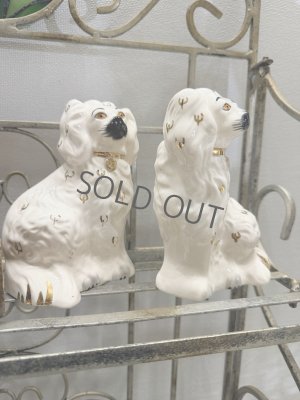 画像7: イギリス スタッフォードシャードッグ ホワイト