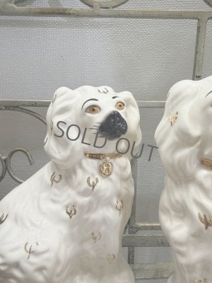 画像6: イギリス スタッフォードシャードッグ ホワイト