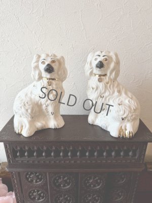 画像1: イギリス スタッフォードシャードッグ ホワイト