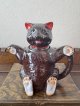 イギリス つぶらな瞳の黒熊ティーポット