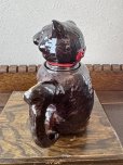 画像19: イギリス つぶらな瞳の黒熊ティーポット