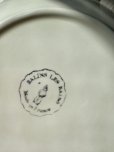 画像13: フランス  バルボティーヌ Salinsフルーツ柄の深皿