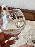 画像12: フランス ドッグのコニャックグラス I・II