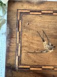画像8: フランス つばめのモシュリンヌボックス