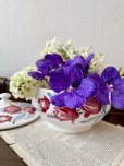 画像1: フランス ディゴワン・サルグミンヌ  スーピエール (1)