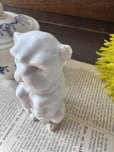 画像16: フランス  前足をあげて立ち上がる わんちゃん