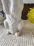 画像18: フランス  前足をあげて立ち上がる わんちゃん