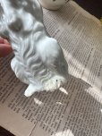 画像17: フランス  前足をあげて立ち上がる わんちゃん