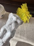画像5: フランス  前足をあげて立ち上がる わんちゃん