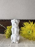 画像3: フランス  前足をあげて立ち上がる わんちゃん