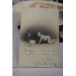 画像2: 1903年　フランスアンティーク　ネコちゃんと赤ちゃんポストカード (2)