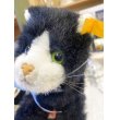 画像10: 西ドイツ ブルーリボンがキュートな Steiffの黒猫 Dossy   (10)