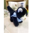 画像6: 西ドイツ ブルーリボンがキュートな Steiffの黒猫 Dossy   (6)