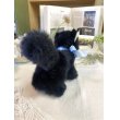 画像5: 西ドイツ ブルーリボンがキュートな Steiffの黒猫 Dossy   (5)