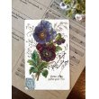画像1: フランス 小さな花が私に語りかけます 1906年のカード (1)