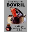画像12: イギリス BOVRIL 琥珀色のボトル 16オンス (12)