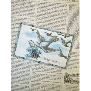 画像: フランス 1900年初頭の白い鳩のカード