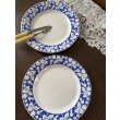 画像7: フランス ディゴワン・サルグミンヌ 8558プレート2枚 (7)