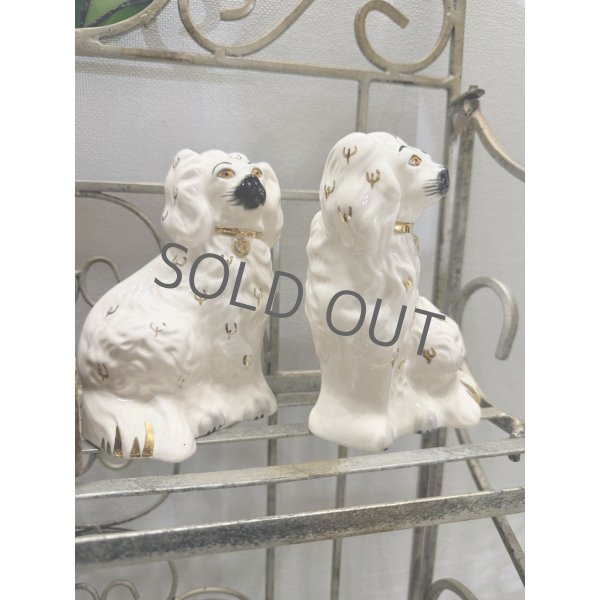 画像7: イギリス スタッフォードシャードッグ ホワイト (7)