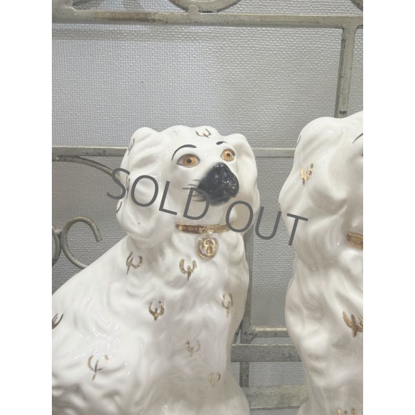 画像6: イギリス スタッフォードシャードッグ ホワイト (6)