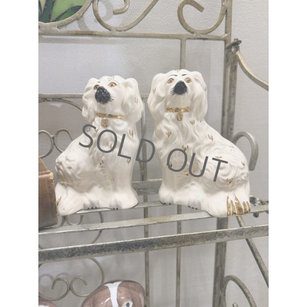 画像8: イギリス スタッフォードシャードッグ ホワイト (8)