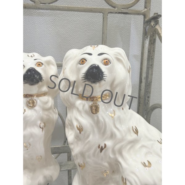 画像5: イギリス スタッフォードシャードッグ ホワイト (5)