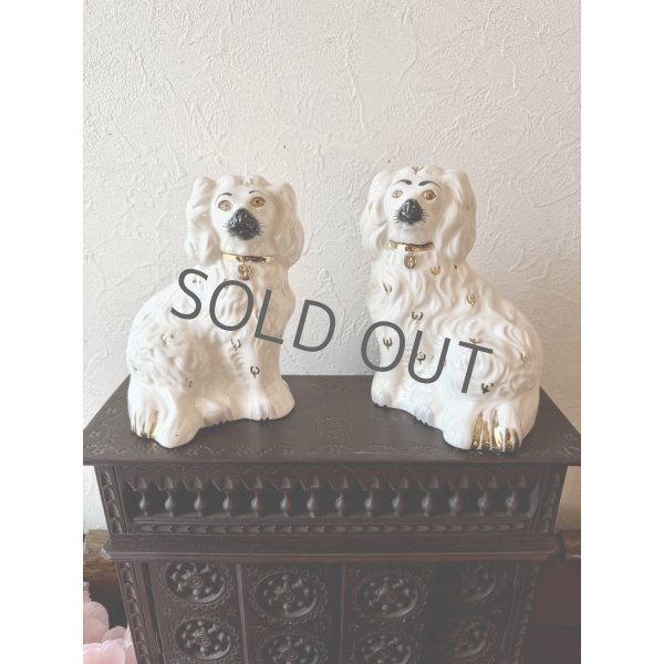 画像1: イギリス スタッフォードシャードッグ ホワイト (1)